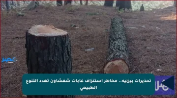 تحذيرات بيئية.. مخاطر استنزاف غابات شفشاون تهدد التنوع الطبيعي